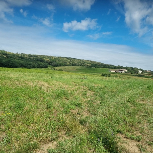  FAMICITY : Terrain | CHASSELAS (71570) | 0 m2 | 158 000 € 