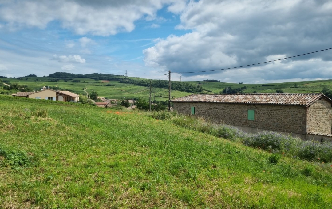 FAMICITY : Terrain | CHASSELAS (71570) | 0 m2 | 158 000 € 